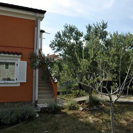 Apartman Branka Kornic Exterior photo